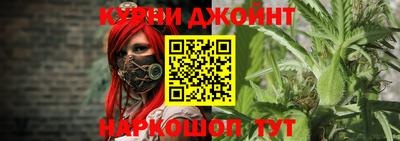 альфа пвп Владикавказ