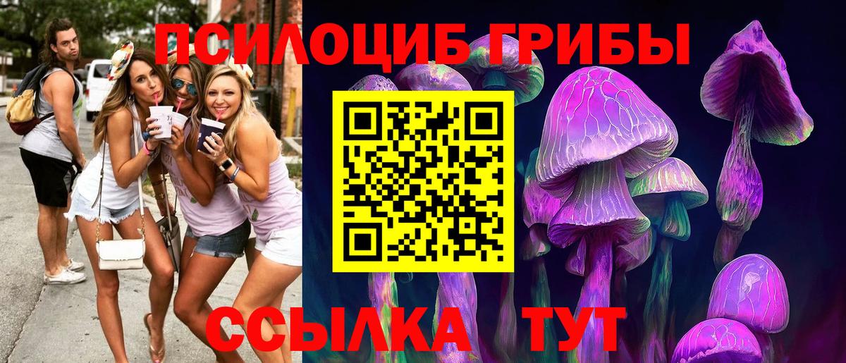 Галлюциногенные грибы Psilocybine cubensis Приморско-Ахтарск