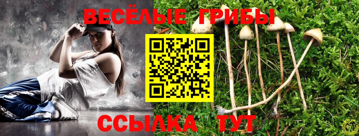Псилоцибиновые грибы прущие грибы  Псилоцибиновые грибы GOLDEN TEACHER  Вход с VPN  Приморско-Ахтарск 